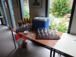De drankjes stonden gekoeld klaar 